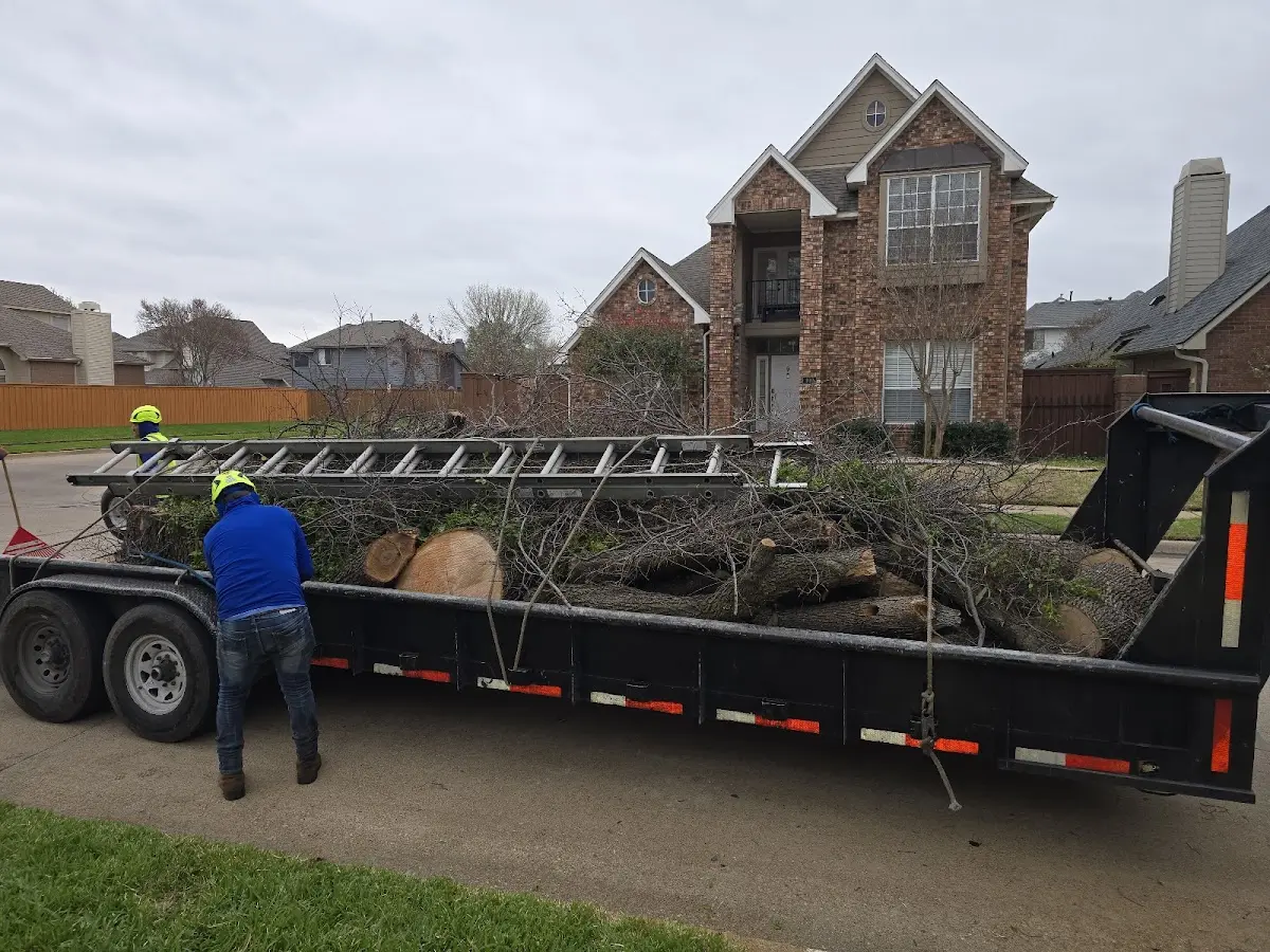 Expert Tree Pest Control with proper safety equipment in Newton Hamilton